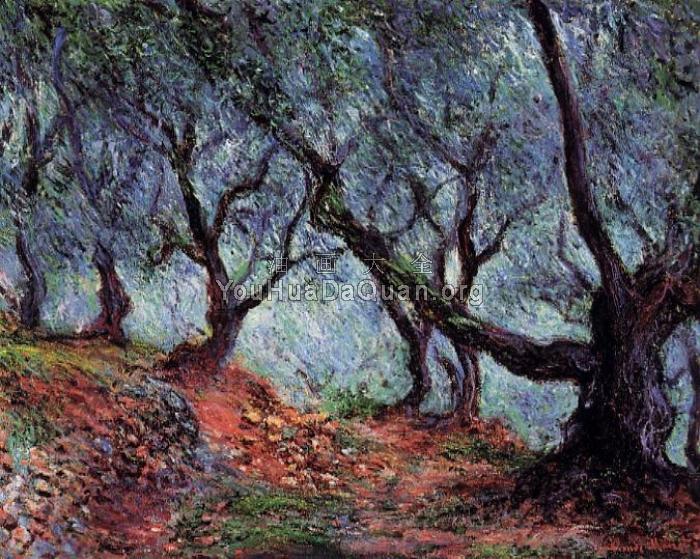 Grove of Olive Trees in Bordighera - 克劳德·莫奈